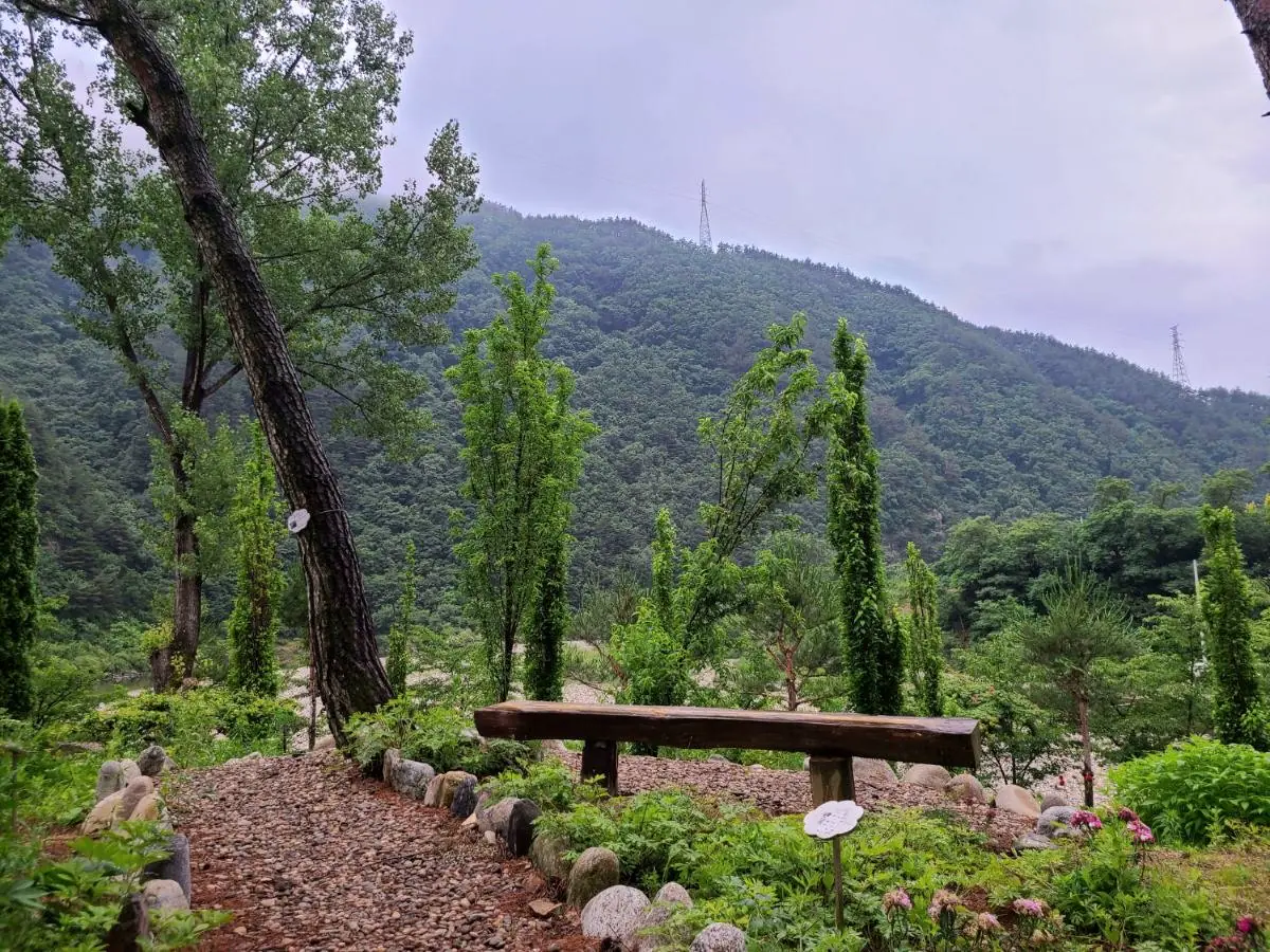 강과 산을 마주 보도록 산책로 곁에 놓인 나무 벤치
