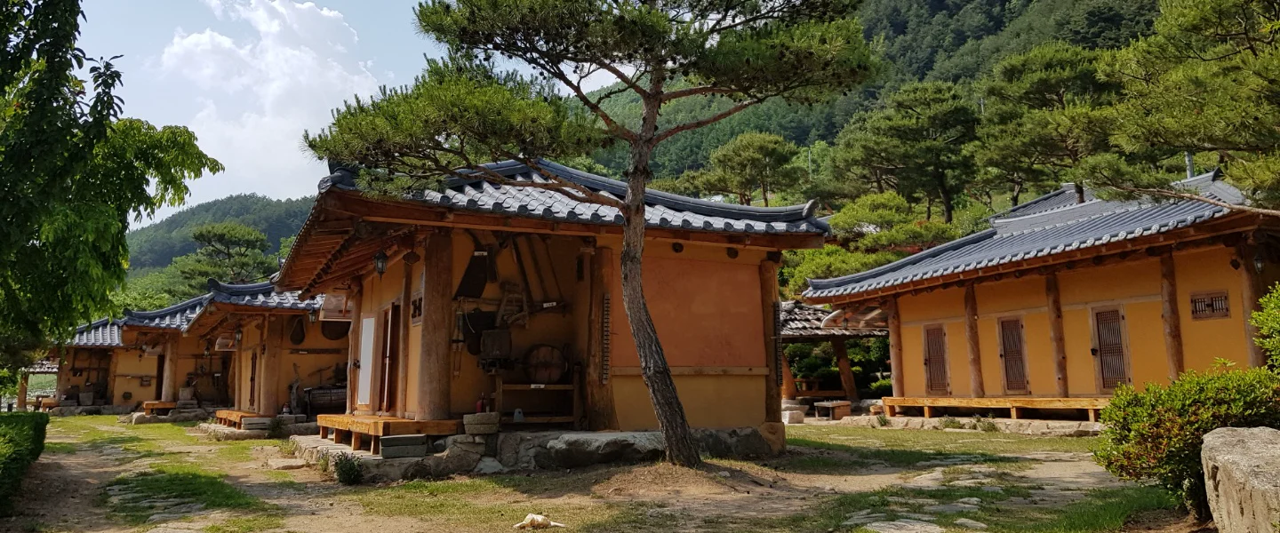 노란 황토벽에 기와를 올린 독채들이 소나무와 잔디마당을 사이에 두고 줄지어 선 모습