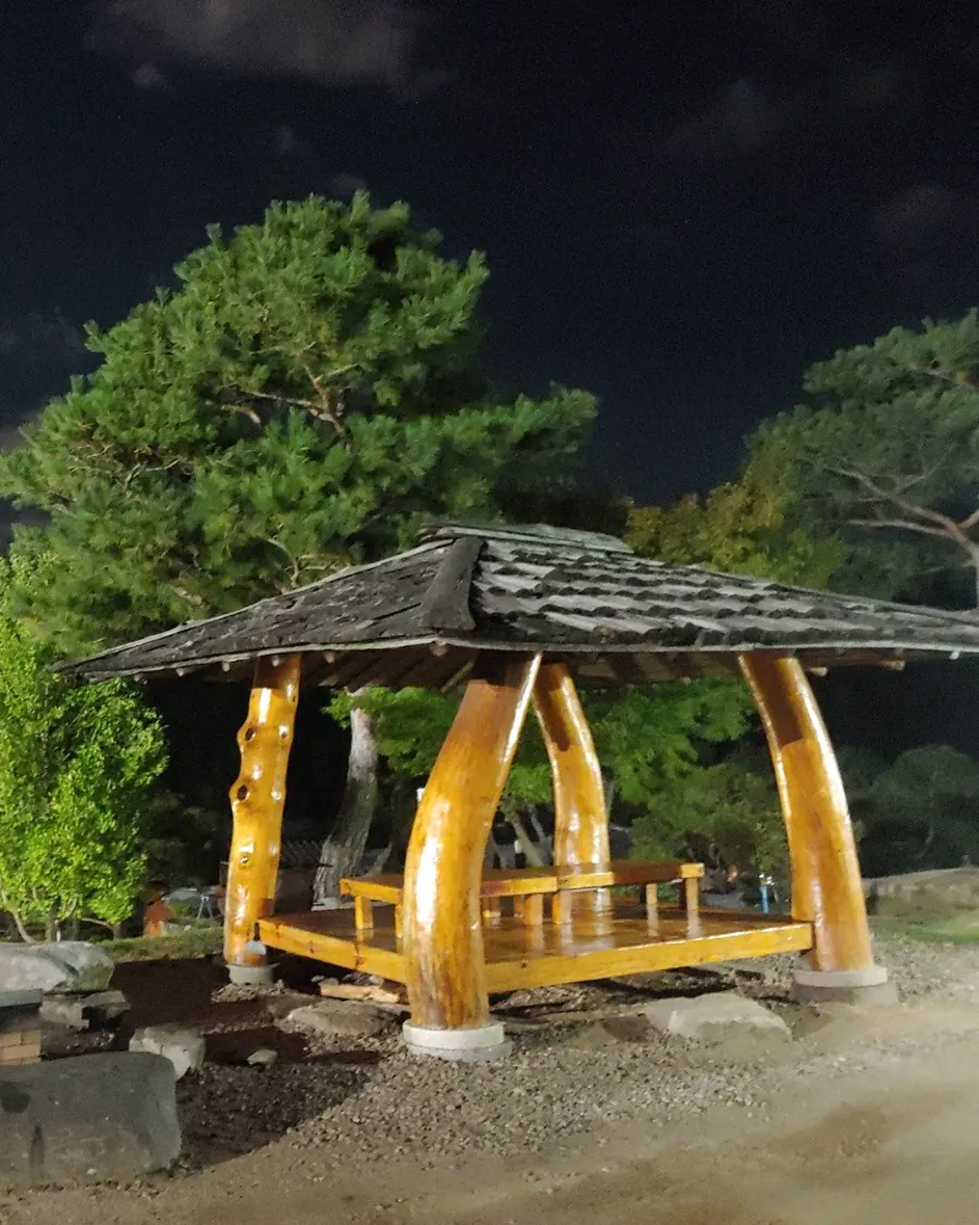 밤에 조명이 켜진 통나무 정자와 그 뒤로 보이는 소나무